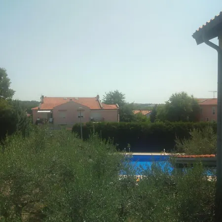 Dragica * Kukci